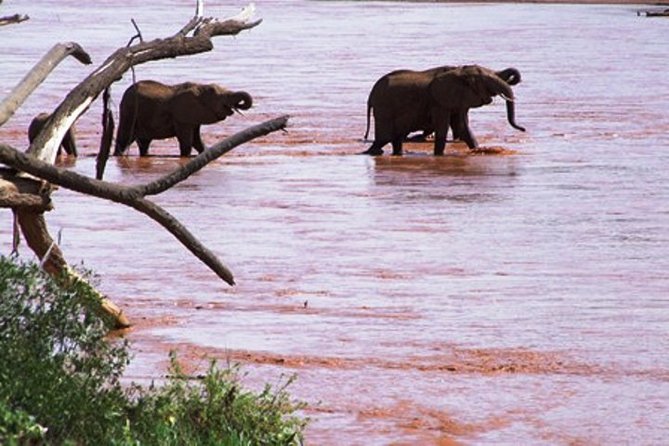 8 Days Kenya Highlights Safari Starting From Nairobi. - Booking Process