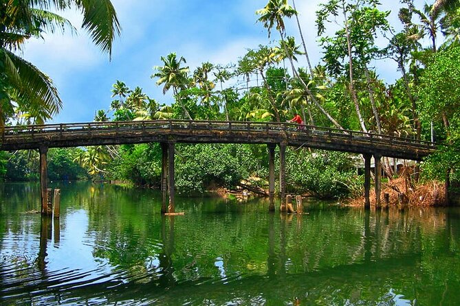 8 Days Kerala Private Tour Covering Kochi- Munnar- Periyar- Alleppey and Kovalam - Relaxing in Alleppeys Backwaters