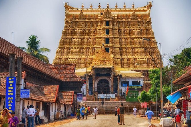 8 Days Kerala Private Tour Covering Kochi- Munnar- Periyar- Alleppey and Kovalam - Memorable Interactions With Local Culture