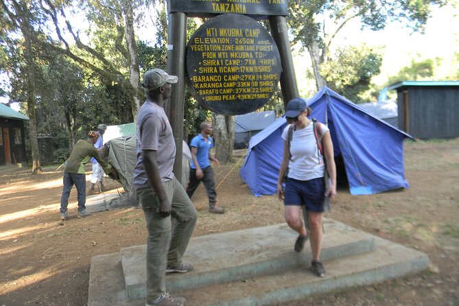 8 Days Kilimanjaro Climbing { Hiking } Tour via Lemosho Route - Reviews