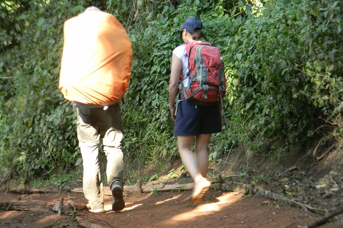 8 Days Kilimanjaro Climbing { Hiking } Tour via Lemosho Route - Getting Prepared