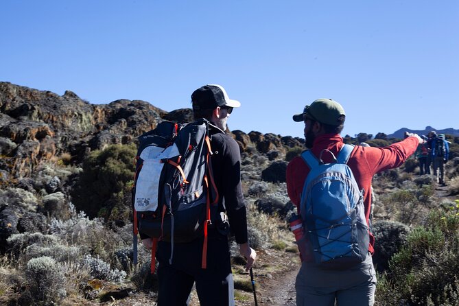 8 Days Kilimanjaro Climbing { Hiking } Tour via Lemosho Route - Recap