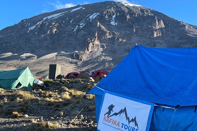 8 Days Kilimanjaro Hike via Lemosho Route - Schedule and Availability