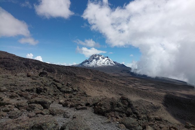 8 Days Lemosho Route Climbing Mt. Kilimanjaro - Pricing and Cancellation
