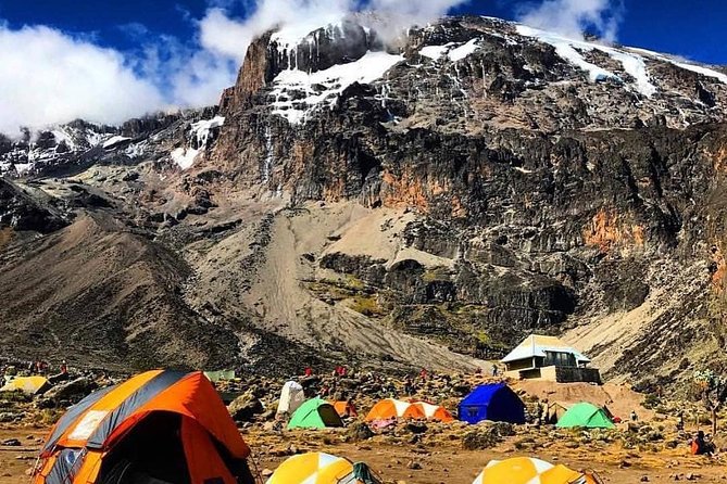 8 Days Lemosho Route Climbing Mt. Kilimanjaro - Route Highlights