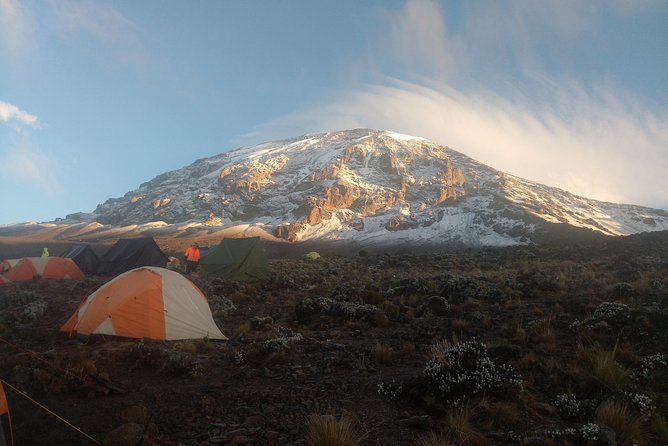 8 Days Lemosho Route Climbing Mt. Kilimanjaro - Frequently Asked Questions