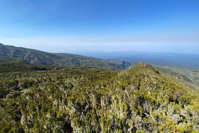 8 Days Lemosho Route - Accommodation