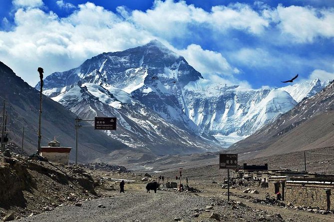 8 Days Lhasa Gyantse Shigatse Mt Everest Group Tour - Itinerary Day 1