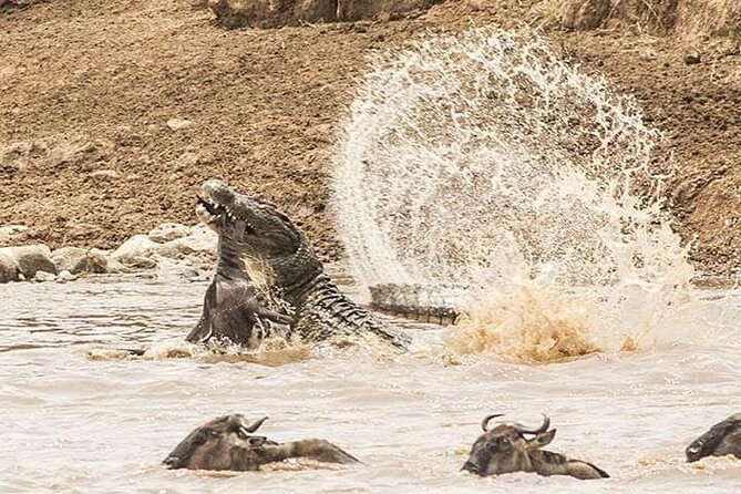 8 Days, Migrations Safari-River Crossing -(July to October) - Inclusions