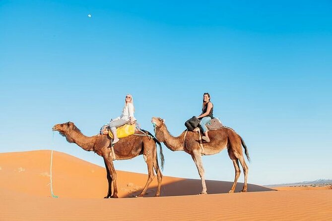 8 Days Morocco Tour From Marrakech - Key Points