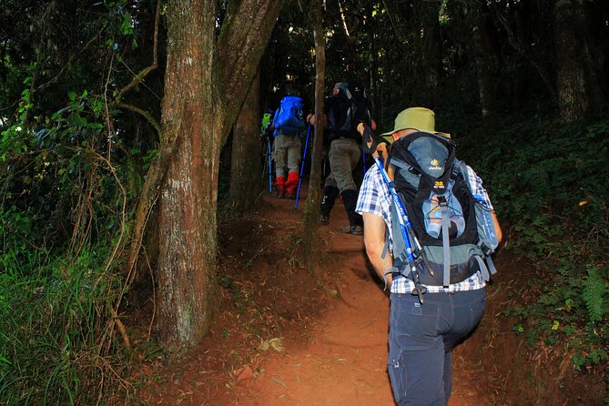 8 Days Mountain Kilimanjaro Lemosho Route - Explore Rainforests and Savannas