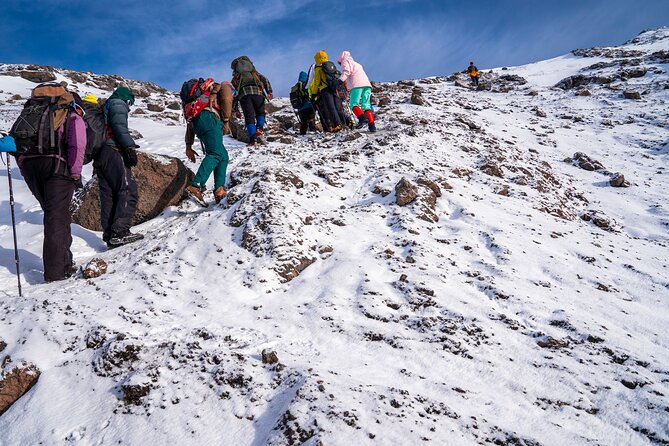 8 Days Mountain Kilimanjaro Lemosho Route - Exceptional Guest Reviews