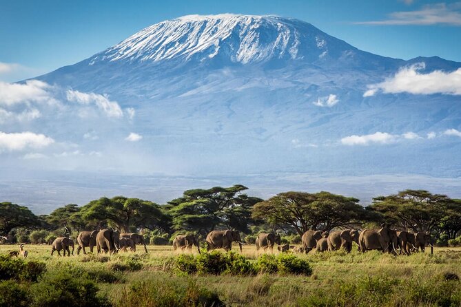 8 Days Mt Kilimanjaro Climb - Lemosho Route - Itinerary for the Climb