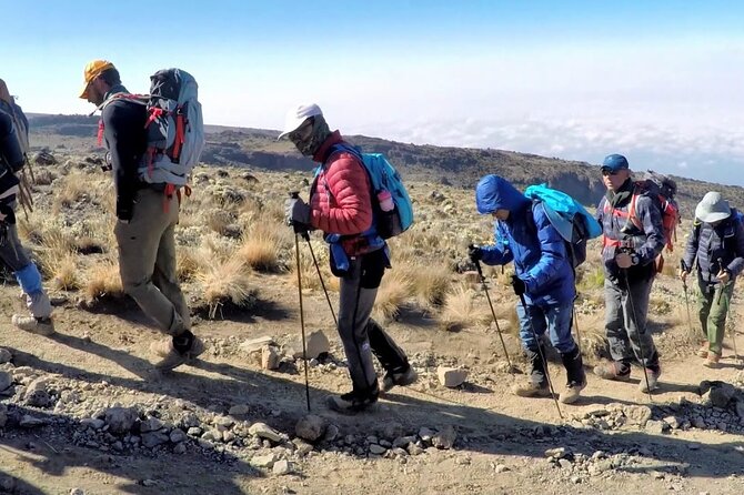 8 Days Mt Kilimanjaro Climb - Lemosho Route - Meeting and Pickup Details