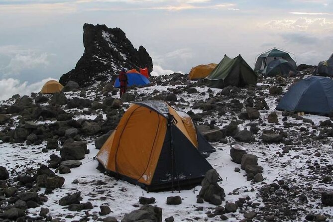 8 Days Mt Kilimanjaro Climb - Lemosho Route - What to Expect on the Mountain