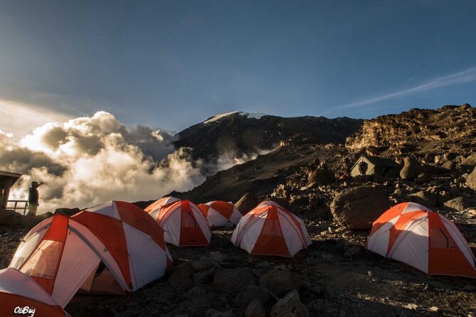 8 Days Mt Kilimanjaro Climb - Lemosho Route - Safety and Health Considerations