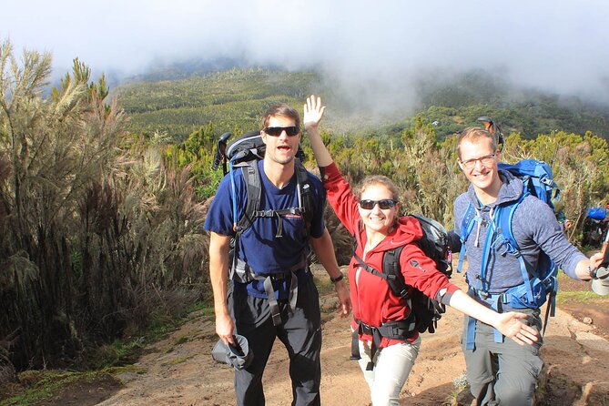 8 Days Mt Kilimanjaro Climb - Lemosho Route - Tips for a Successful Climb