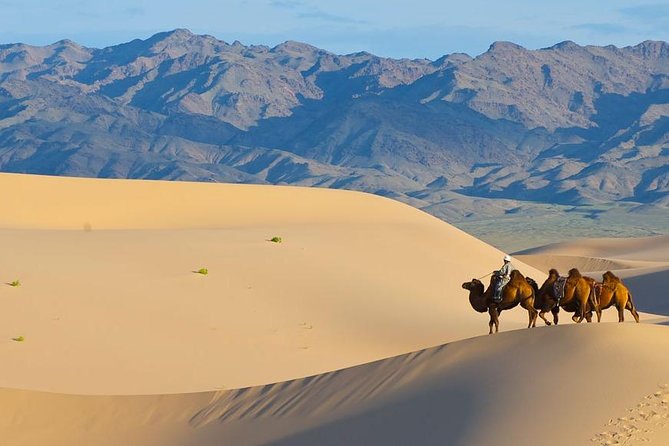 8 Days Naadam Festival and Gobi Desert - Sum Up