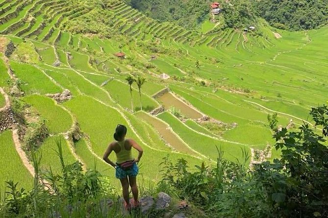 8 Days North Luzon Private Tour Review - Recap