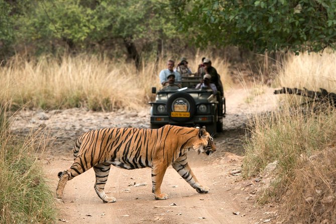 8 Days Private Golden Triangle Tour With Ranthambore Tiger Safari - Pricing and Cancellation
