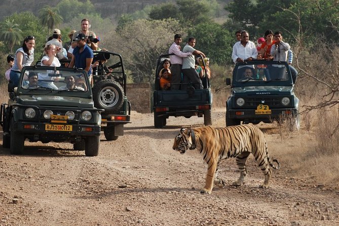 8 Days Private Golden Triangle Tour With Ranthambore Tiger Safari - Memorable Experiences