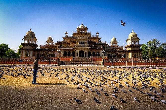 8 - Days Private Golden Triangle Tour With Udaipur - Jewel Factory Visit