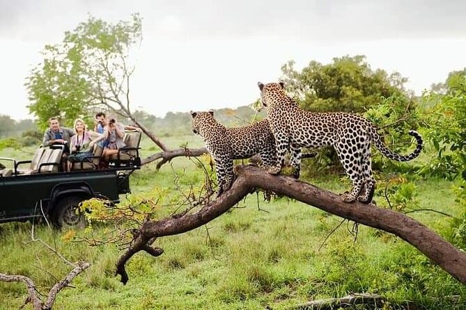 8 Days Private Guided Tour in Sri Lanka With Accommodation (Bb) - Ellas Hiking Trails