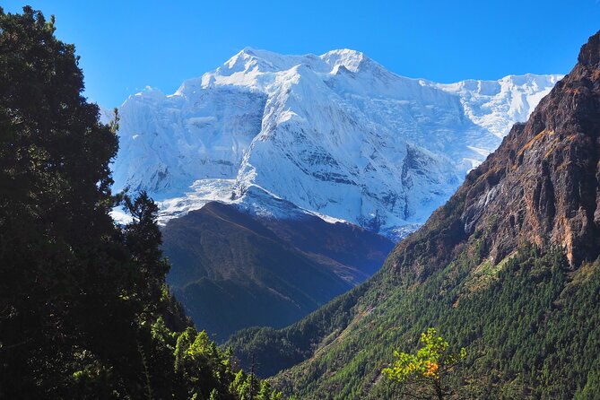 8 Days Private Guided Trekking in Annapurna Circuit With Pickup - Meals and Refreshments