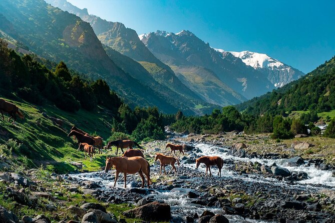 8 Days Private Tour at Lenin Peak Base Camp Trek - Fitness Level and Accessibility