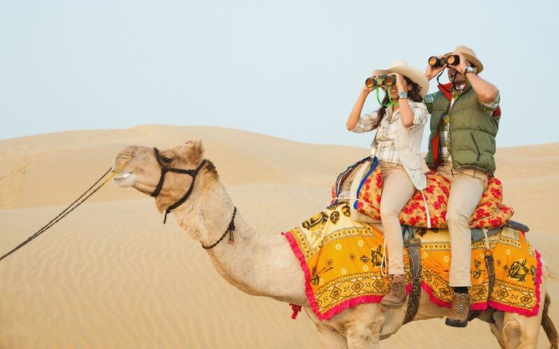 8 Days Rajasthan Tour - Jaipur, Jodhpur, Jaisalmer & Bikaner - Accommodation and Meals