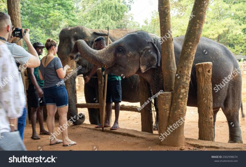 8 Days Round Tour Across Beautiful Nature of Sri Lanka - Experience Highlights