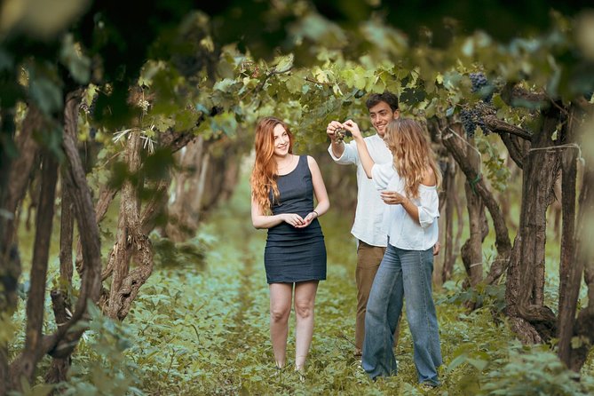8 Days Small Group Food & Wine Tour of Sicily (Max 8 Guests) - Reviews