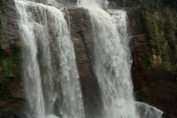 8 Days Sri Lanka Private Tour With Air Conditioned Vehicle - Transportation & Driver