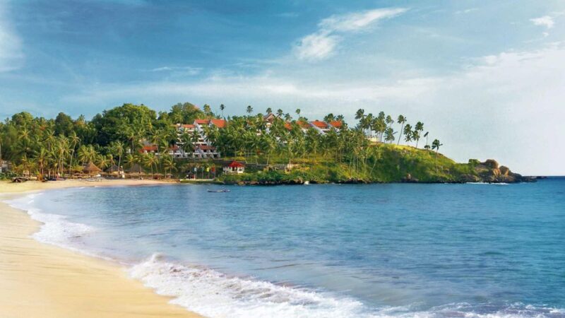 8 Days: Sri Lanka Round Tour 7 Nights Exploration Customize - Itinerary Highlights