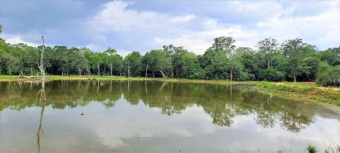 8 Days - Sri Lanka Sightseeing Tour - Departure and Airport Drop-off