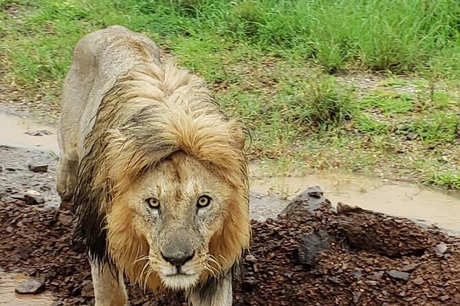 8 Days Tanzania Adventure Tented Camps Safari - Pickup and Accessibility
