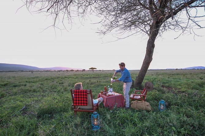 8 Days Tanzania Wildlife Safari Experience - Itinerary Overview