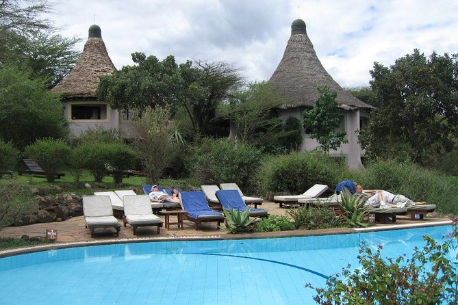 8 Days Tanzania Wildlife Safari Experience - Accommodations and Meals
