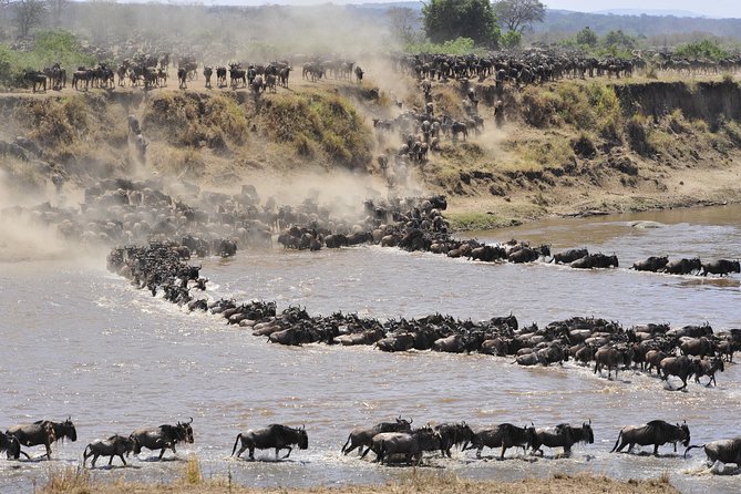 8 Days Tanzania Wildlife Safari Experience - Pricing Breakdown