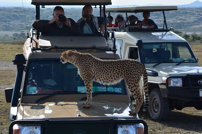 8 Days Tanzania Wildlife Safari Experience - Booking and Cancellation Policy