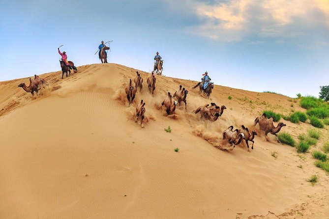 8 Days Tour: Gobi Desert And Kharkhorin - Good To Know