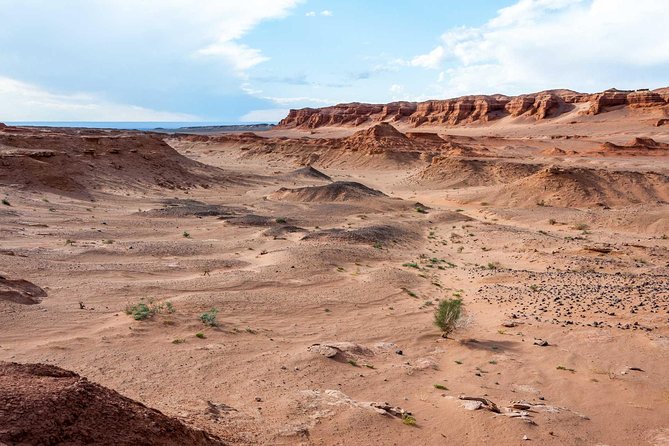 8 Days Tour: Gobi Desert And Kharkhorin - Accommodations and Meals