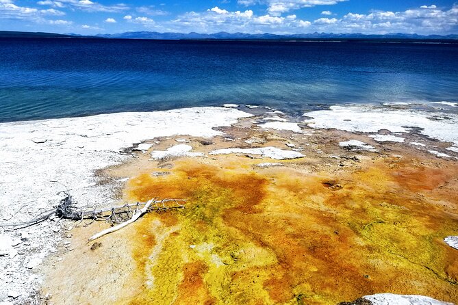8 Days Tour Grand Teton & Yellowstone Explorer - Contact Information
