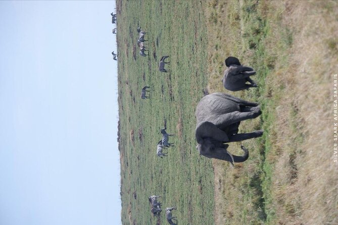8 Days: Tsavo East National Park Amboseli, Nakuru, Maasai Mara Park - Discovering Lake Nakuru