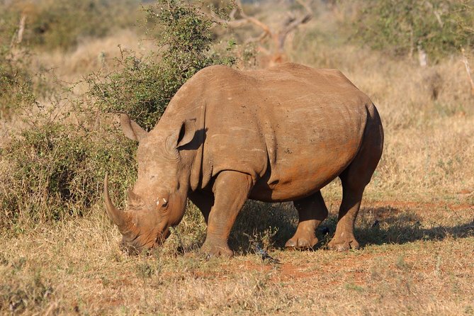 8 Days Uganda Primate & Wildlife Safari Tour - Accommodation Options