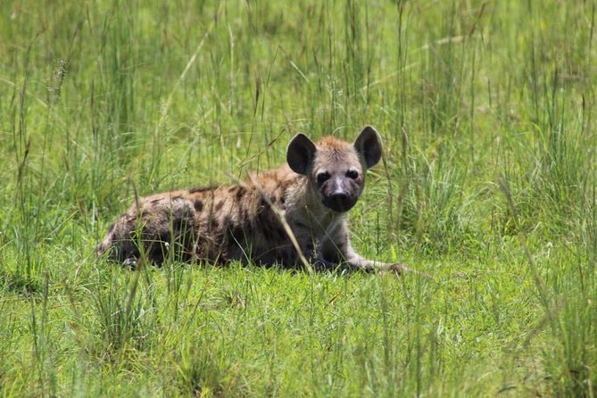 8 Days Uganda Primates Safari - Pricing Information
