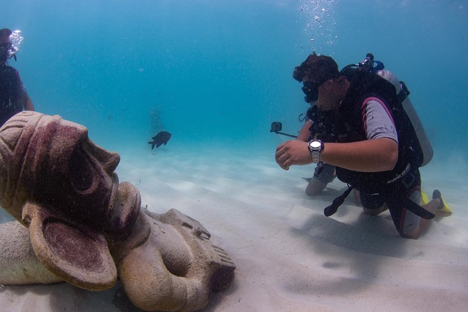 8-Dive Scuba Adventure in Bayahibe - Meeting and Transportation Logistics