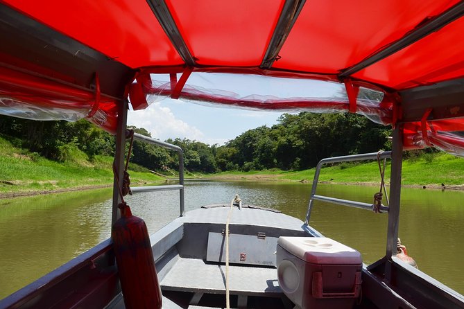 8-Hour Amazonas Jungle Treck & Anavilhanas Archipelago - Wildlife Sightings