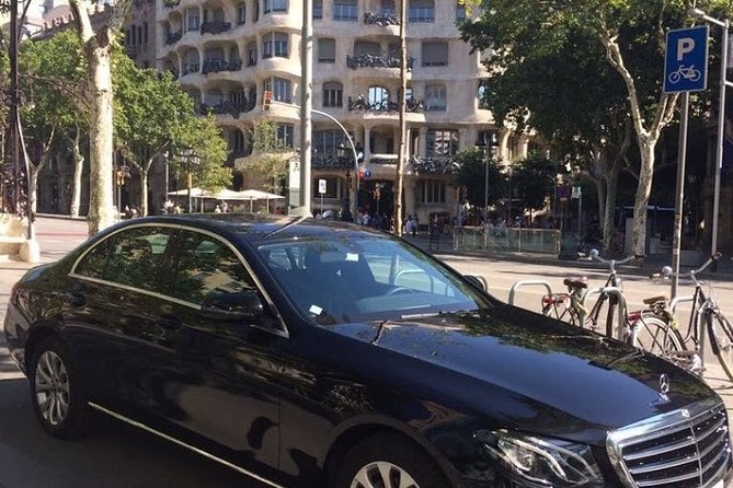 8-Hour Barcelona Private Tour - Park Güell