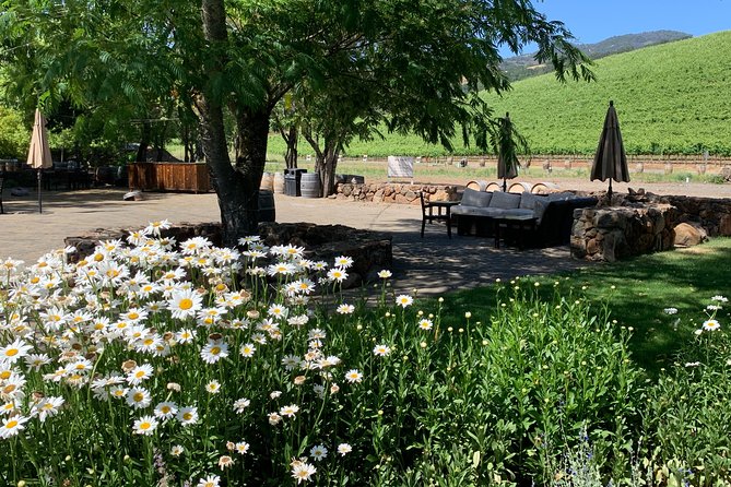 8-Hour Custom Private Napa and Sonoma Wine Tour - Exclusions
